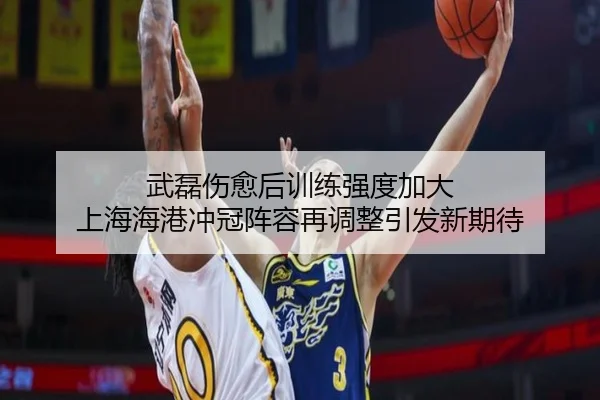 武磊伤愈后训练强度加大 上海海港冲冠阵容再调整引发新期待